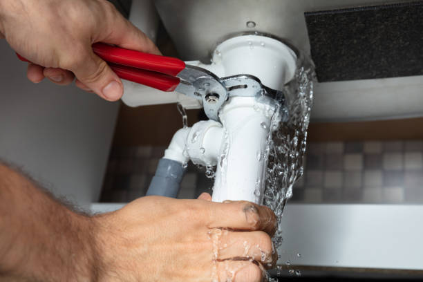 Best Water damage mitigation services  in Hoffman Estates, IL