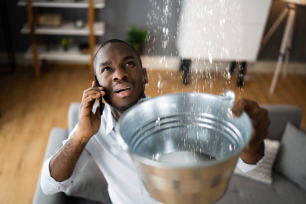 Best Mold removal after water damage  in Hoffman Estates, IL