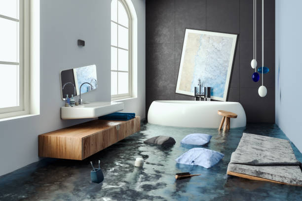 Best Basement water damage restoration  in Hoffman Estates, IL