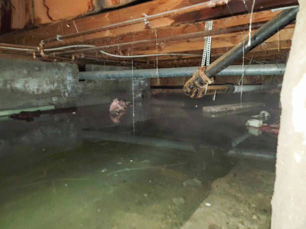 Best 24-hour water damage restoration  in Hoffman Estates, IL