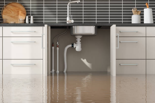 Best Fire Damage Restoration  in Hoffman Estates, IL