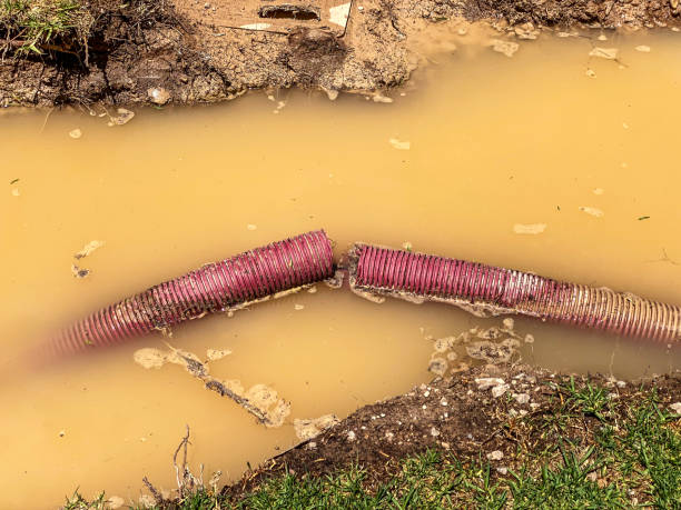 Best Water damage contractors near me  in Hoffman Estates, IL