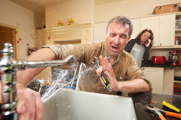 Best Water damage restoration near me  in Hoffman Estates, IL